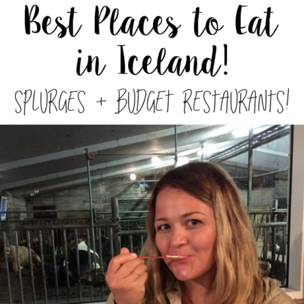 Best Places To Eat In Iceland (Reykjavik & Surrounding Areas)