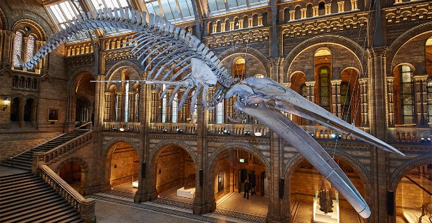 london-natural-history